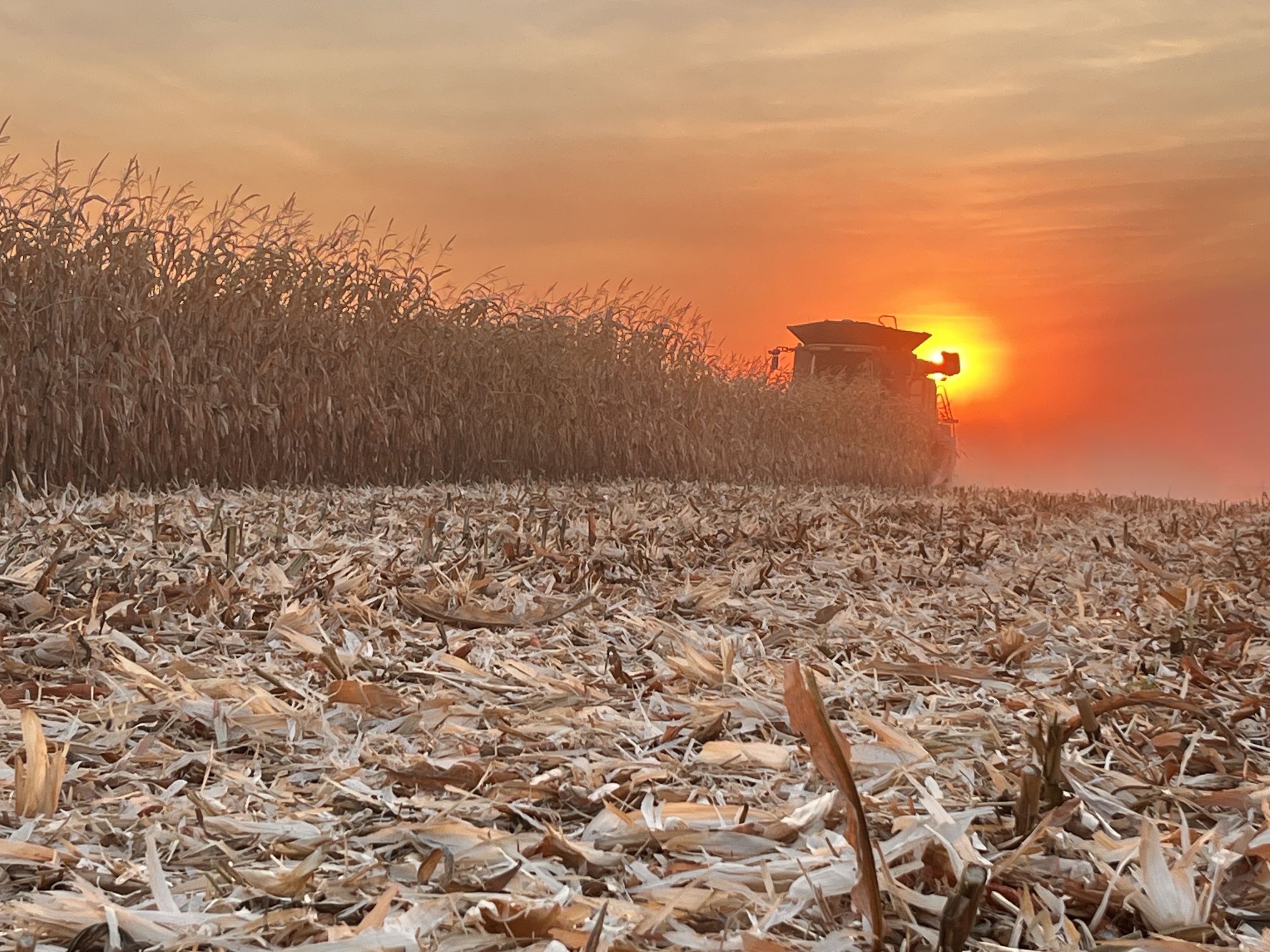 Homepage | Fields of Corn Annual Photo Contest of IL